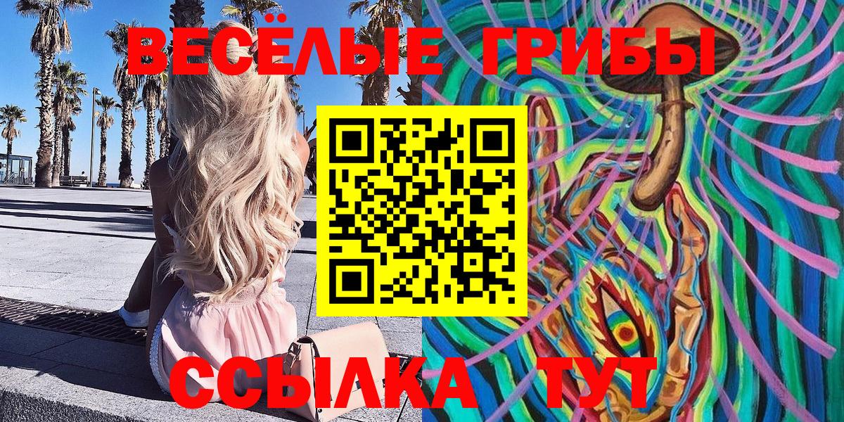 Псилоцибиновые грибы Cubensis  Галлюциногенные грибы прущие грибы  Вход с VPN  Назрань 